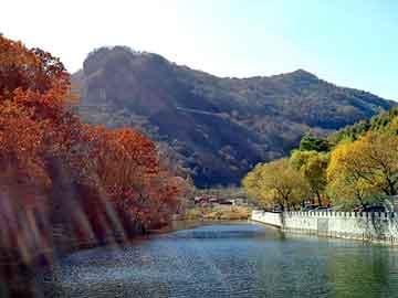 正新澳门二四六天天彩，日本山田气动隔膜泵